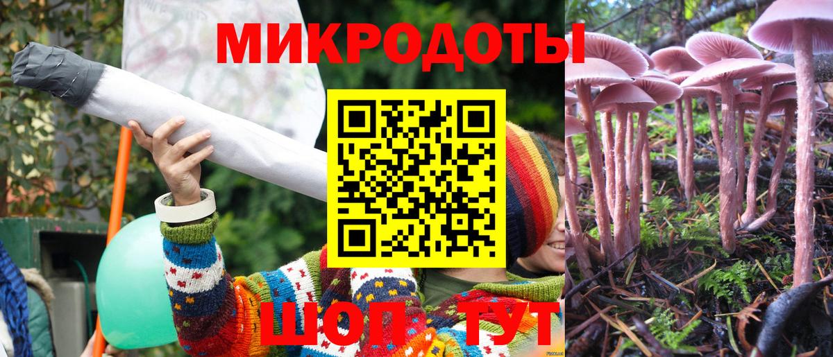Магадан  закладка  Вход с VPN  Псилоцибиновые грибы мицелий 